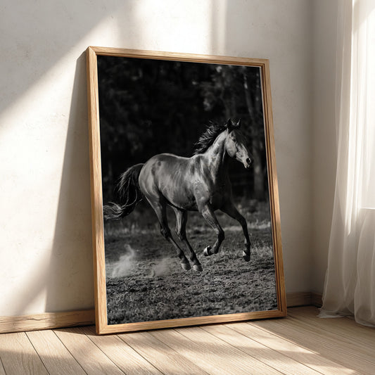 Wall decor black and white poster of galloping horse running on dirt with blurred dark background