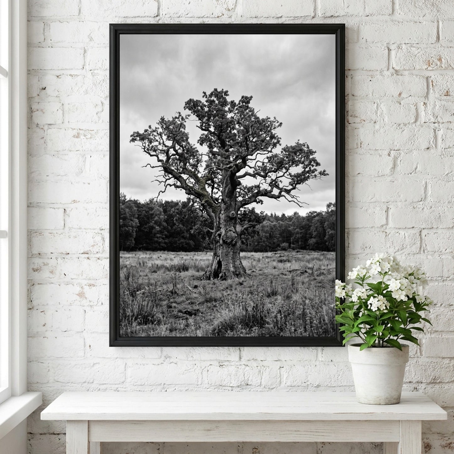 Poster of ancient oak tree in meadow black and white photography rustic style