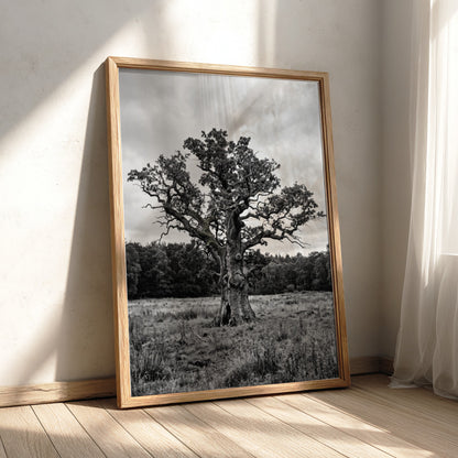 Poster of ancient oak tree in meadow black and white photography rustic style