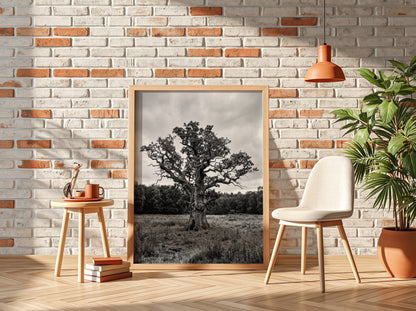 Poster of ancient oak tree in meadow black and white photography rustic style