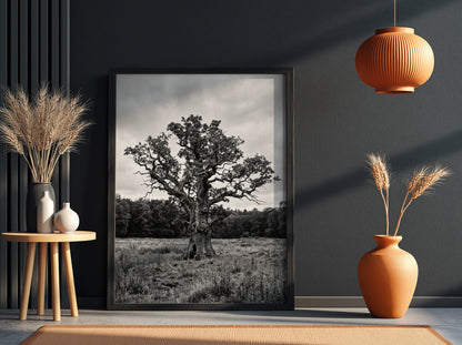 Poster of ancient oak tree in meadow black and white photography rustic style