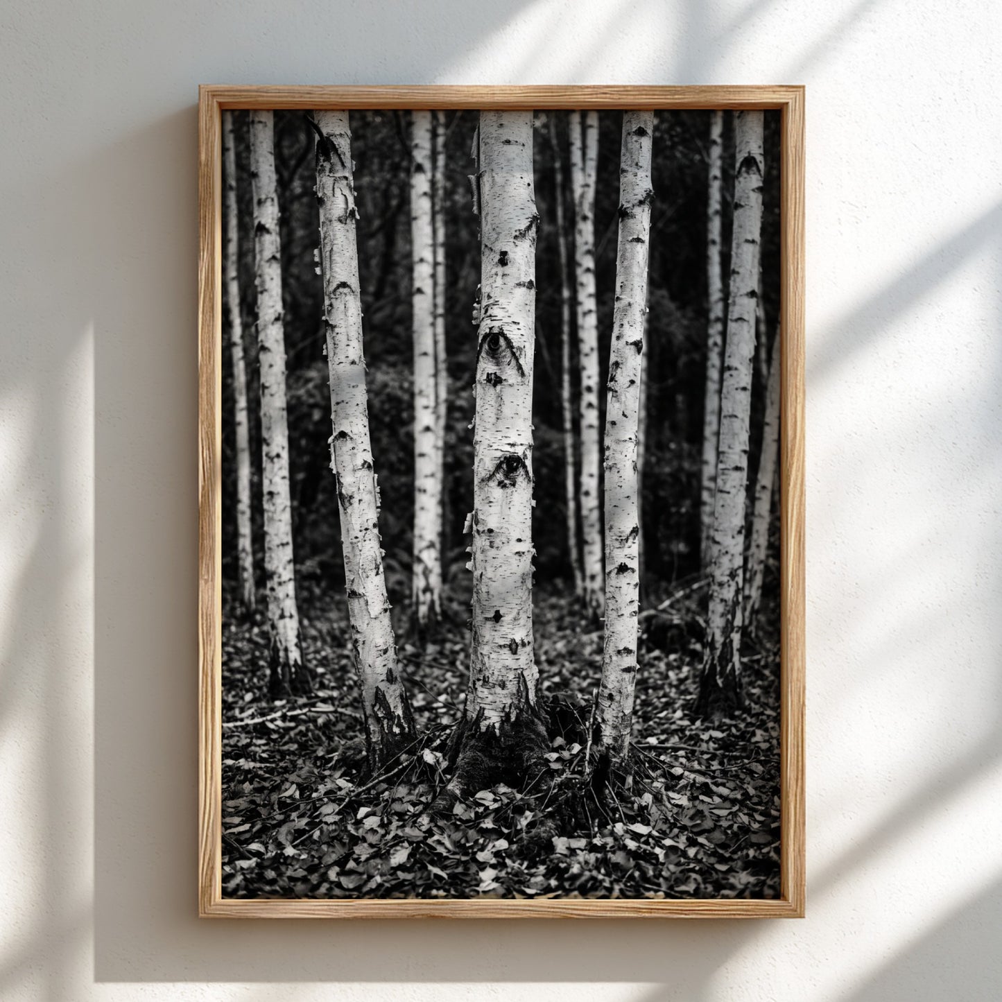 Black and white poster of birch trees with textured bark and fallen leaves forest floor
