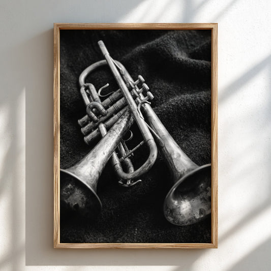 Photography print of two brass trumpets on dark fabric in black and white