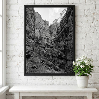 Black and white poster of canyon walls with layered sedimentary rock and rugged textures
