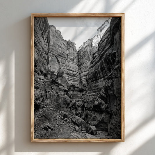 Black and white poster of canyon walls with layered sedimentary rock and rugged textures