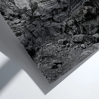 Black and white poster of canyon walls with layered sedimentary rock and rugged textures