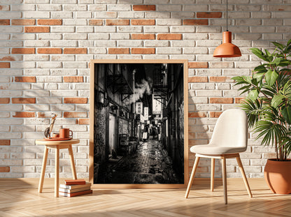 black and white urban photography of cat in wet cobblestone back alley with fire escapes and steam