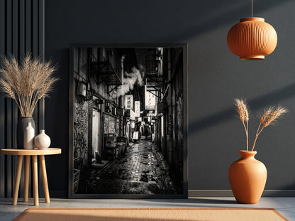 black and white urban photography of cat in wet cobblestone back alley with fire escapes and steam