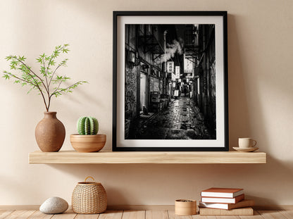 black and white urban photography of cat in wet cobblestone back alley with fire escapes and steam
