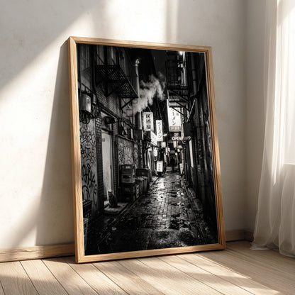 black and white urban photography of cat in wet cobblestone back alley with fire escapes and steam