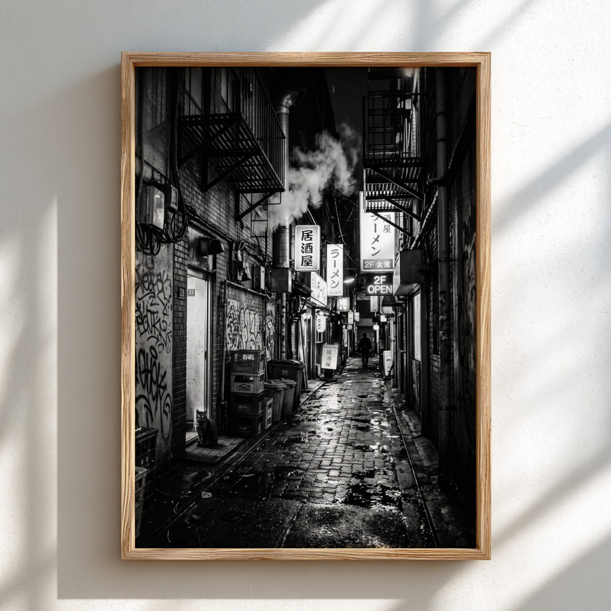 black and white urban photography of cat in wet cobblestone back alley with fire escapes and steam