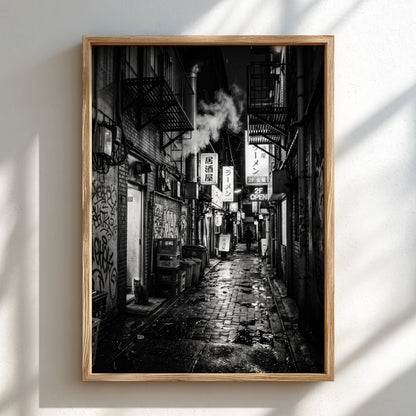 black and white urban photography of cat in wet cobblestone back alley with fire escapes and steam