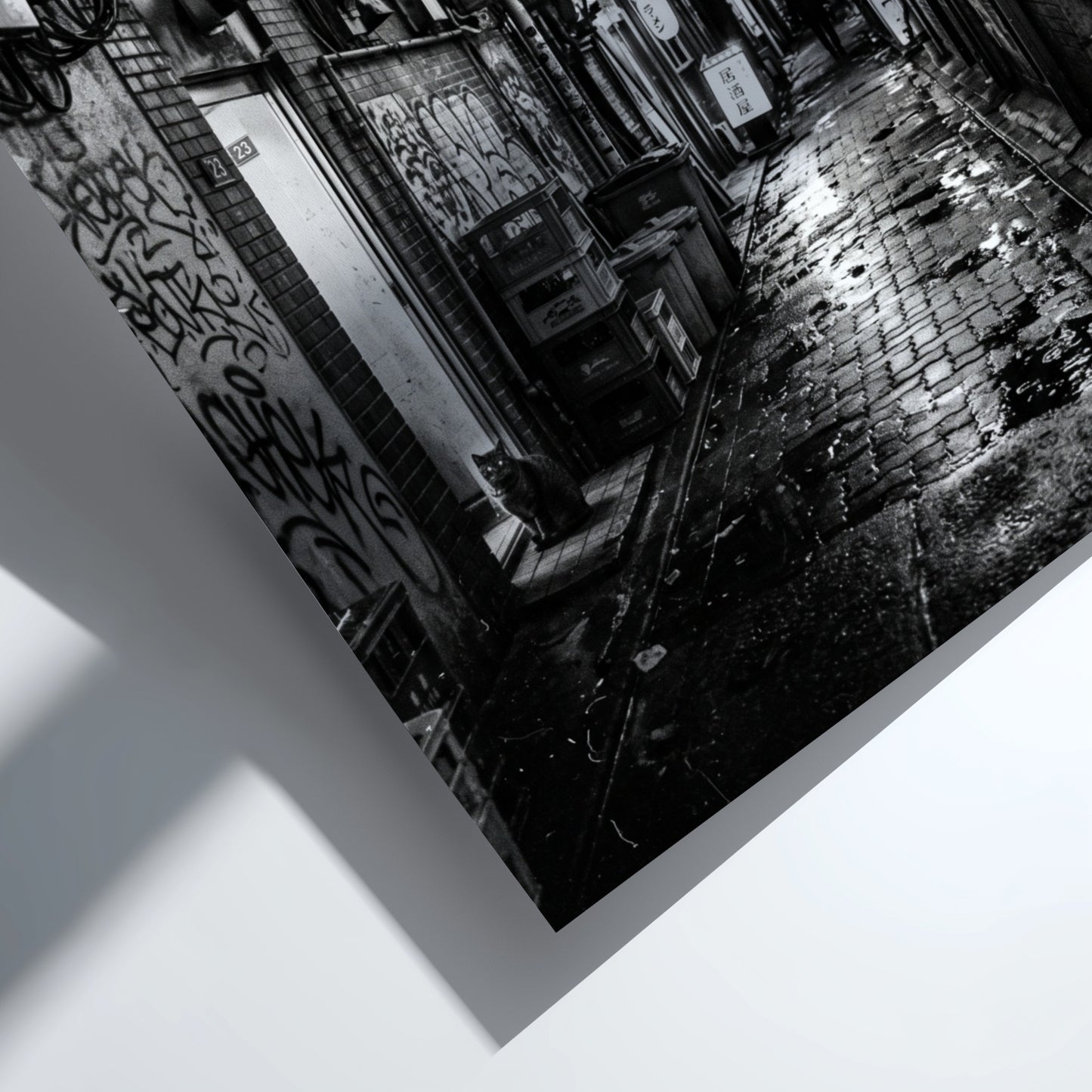 black and white urban photography of cat in wet cobblestone back alley with fire escapes and steam
