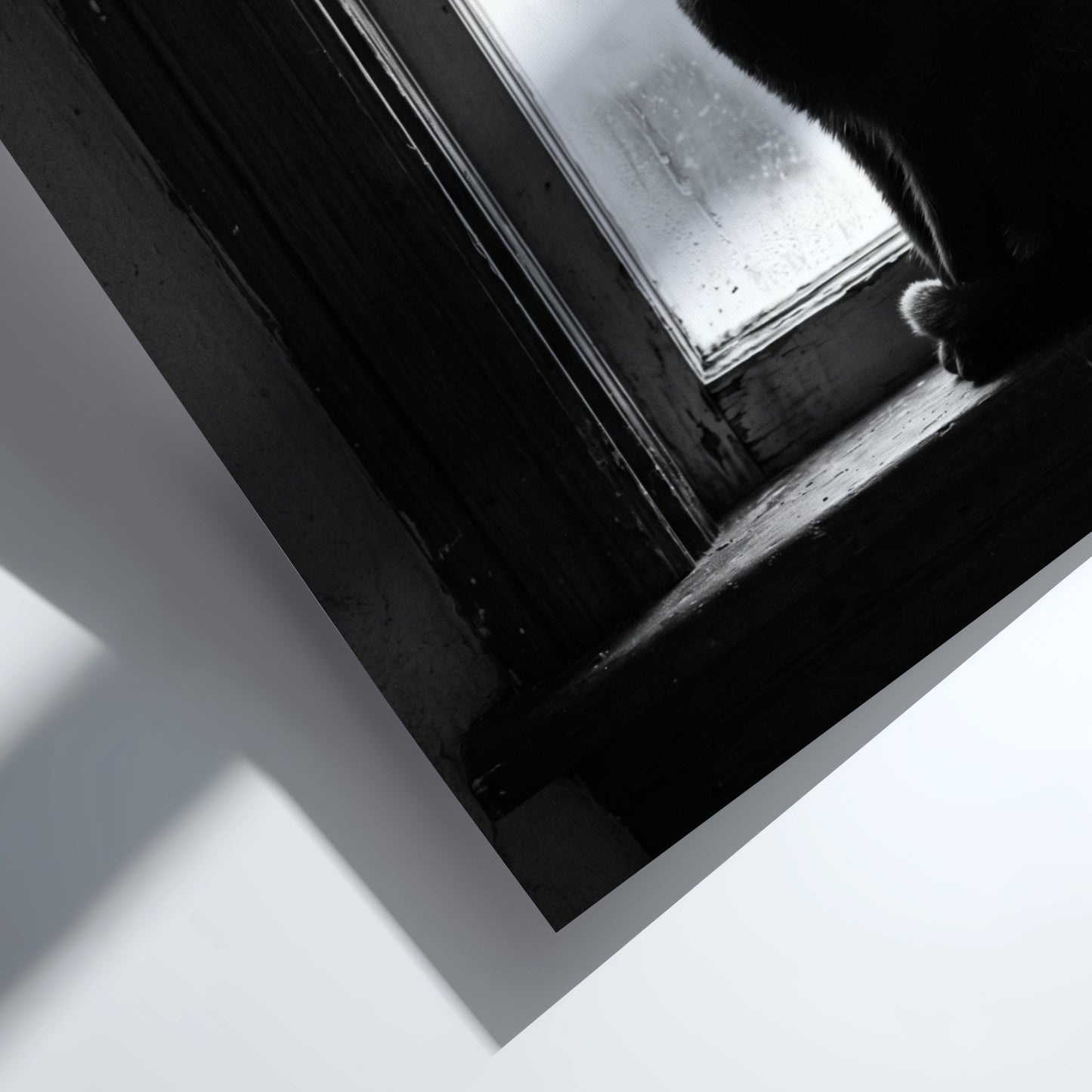Poster of black cat sitting on window ledge with soft natural light and shadow contrast