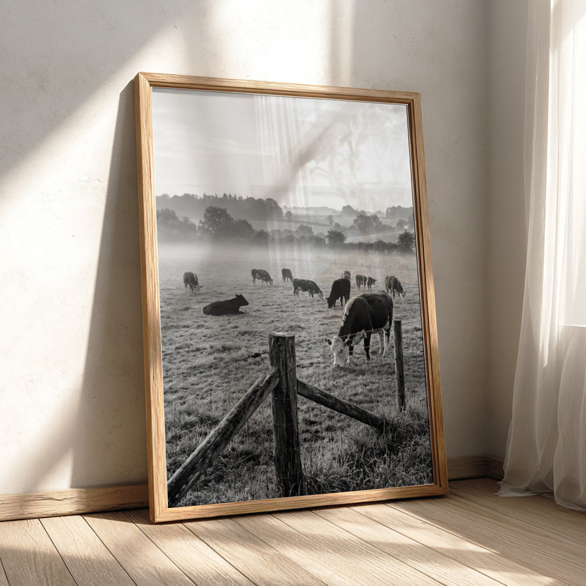 Poster of black and white photograph showing cattle grazing in misty rural pasture with wooden fence