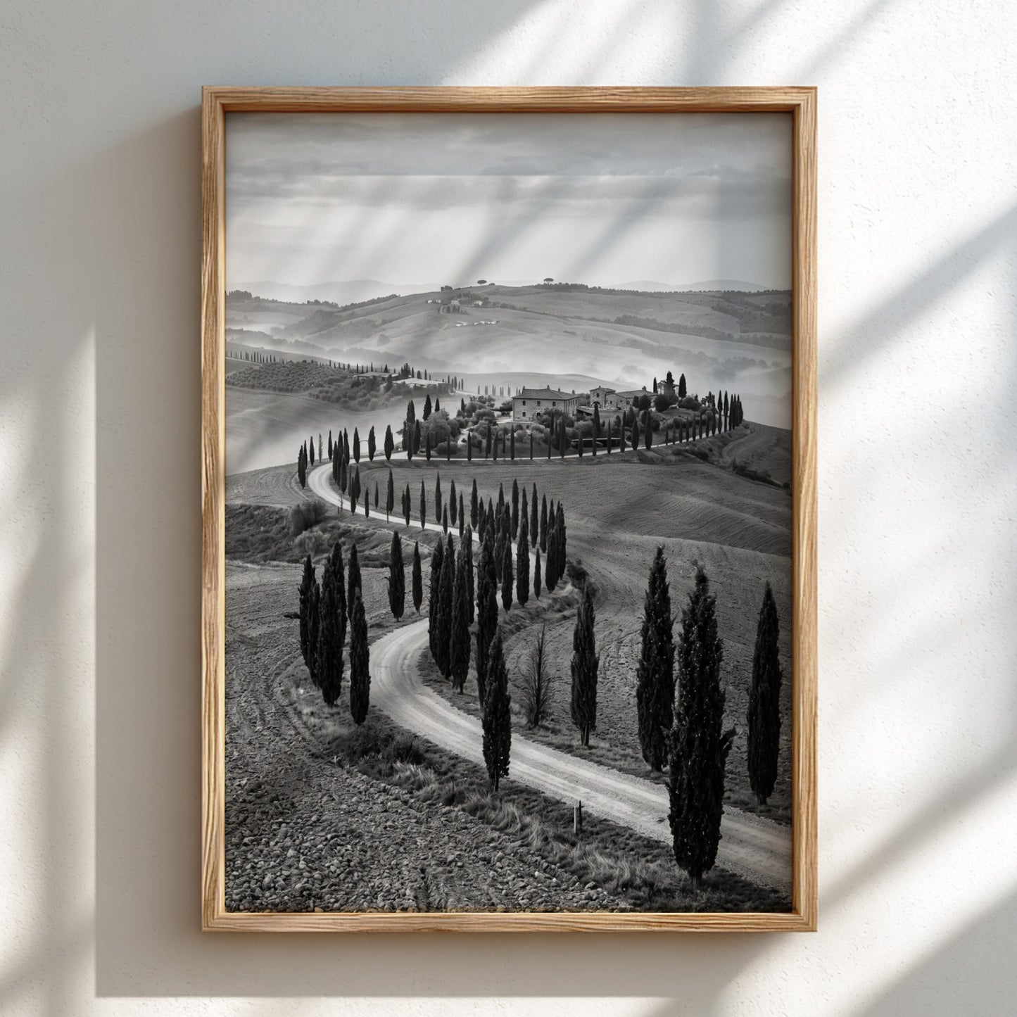 Black and white wall decor featuring tall cypress trees lining winding road on rolling hills