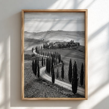 Black and white wall decor featuring tall cypress trees lining winding road on rolling hills