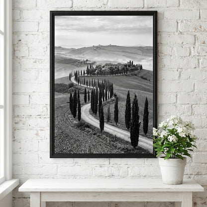 Black and white wall decor featuring tall cypress trees lining winding road on rolling hills