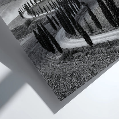 Black and white wall decor featuring tall cypress trees lining winding road on rolling hills