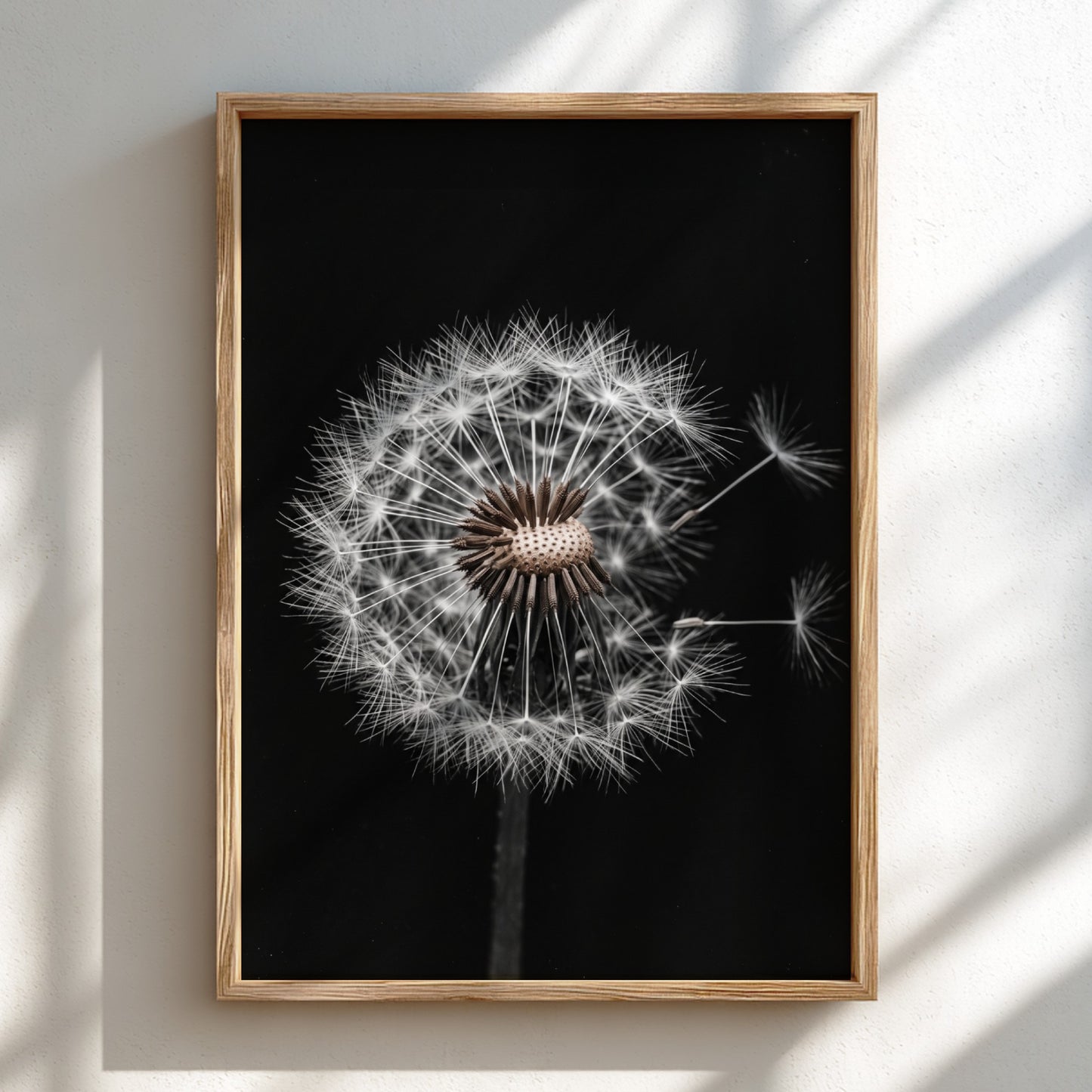 Botanical wall art of a dandelion seed head with white seeds on black minimalist background