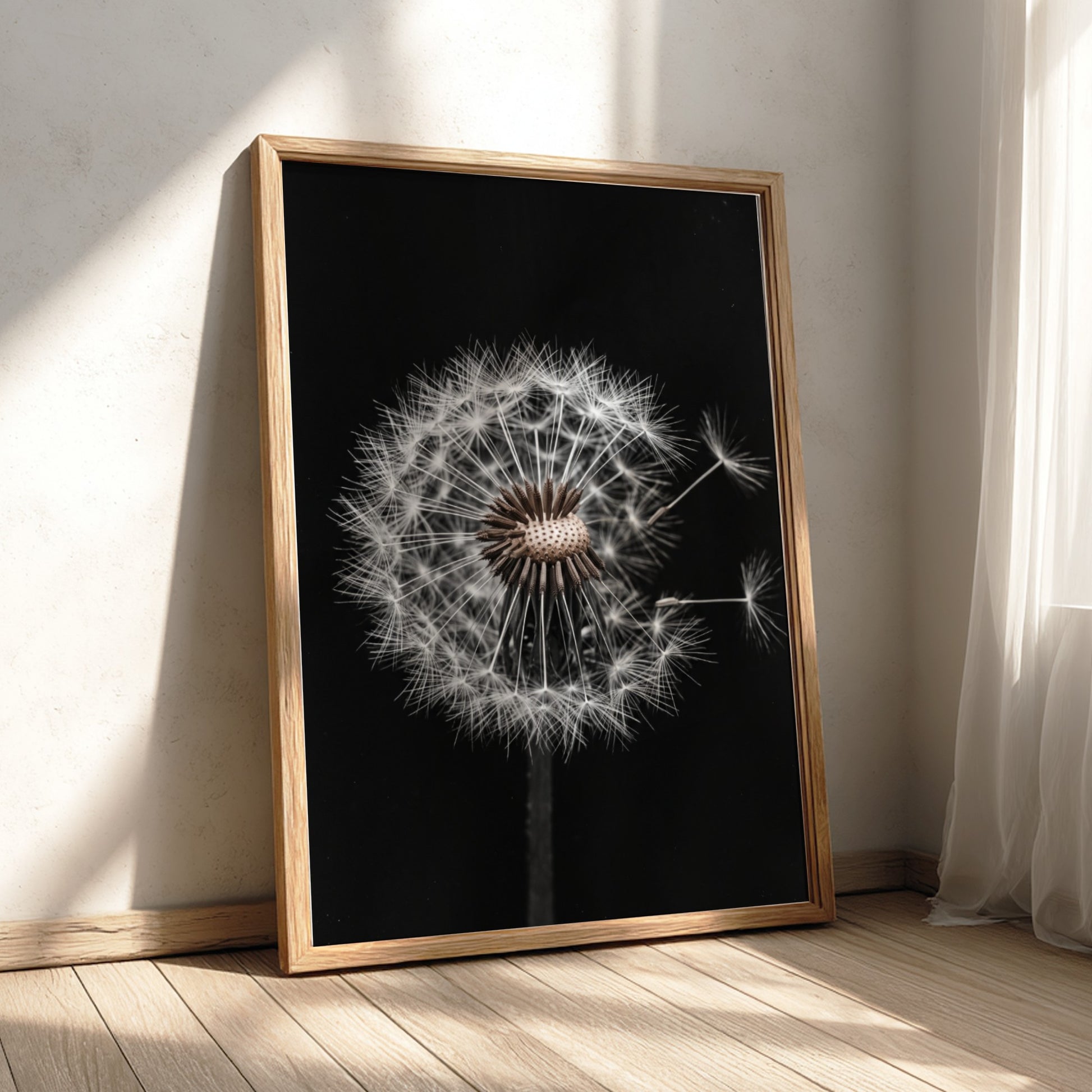 Botanical wall art of a dandelion seed head with white seeds on black minimalist background
