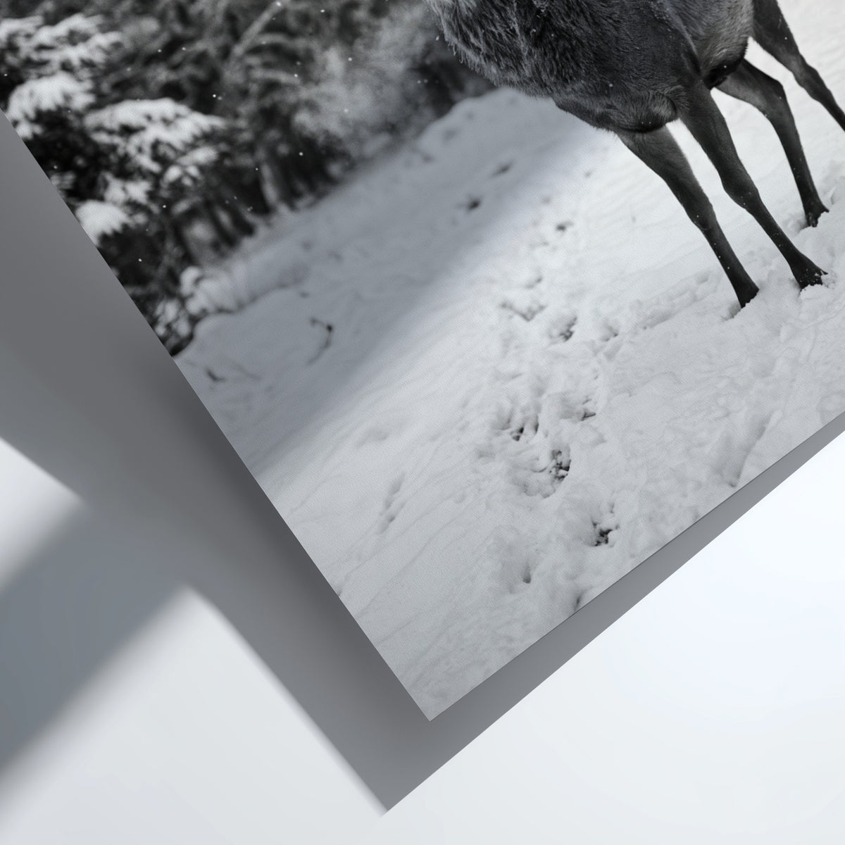 black and white nature wall decor showing deer standing in snowy forest clearing with pine trees