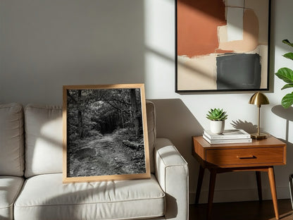 Black and white wall decor of dirt path through dense woodland with trees and roots
