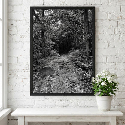 Black and white wall decor of dirt path through dense woodland with trees and roots