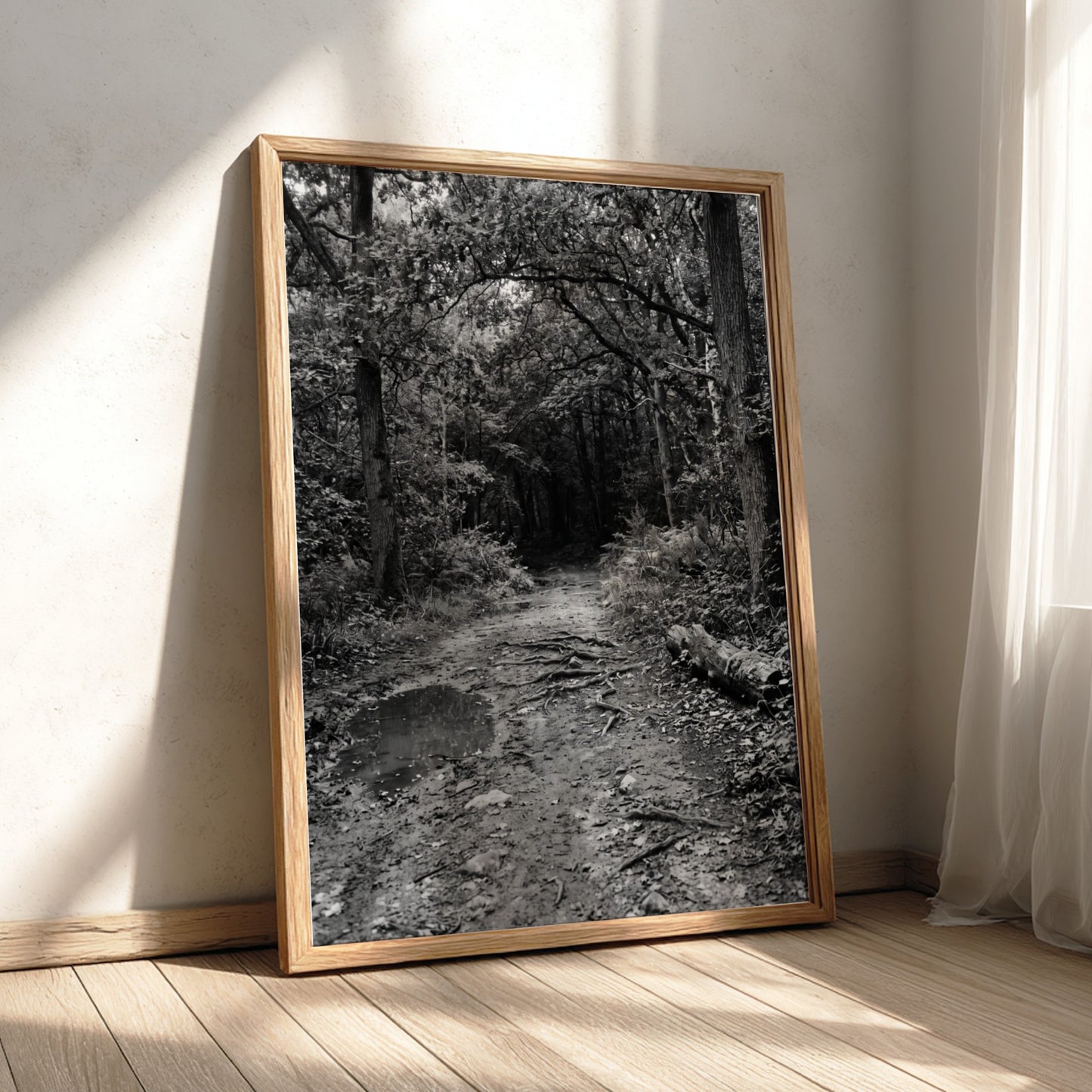 Black and white wall decor of dirt path through dense woodland with trees and roots