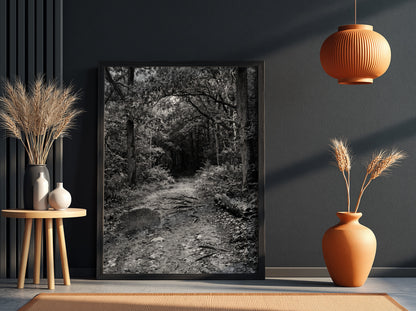 Black and white wall decor of dirt path through dense woodland with trees and roots
