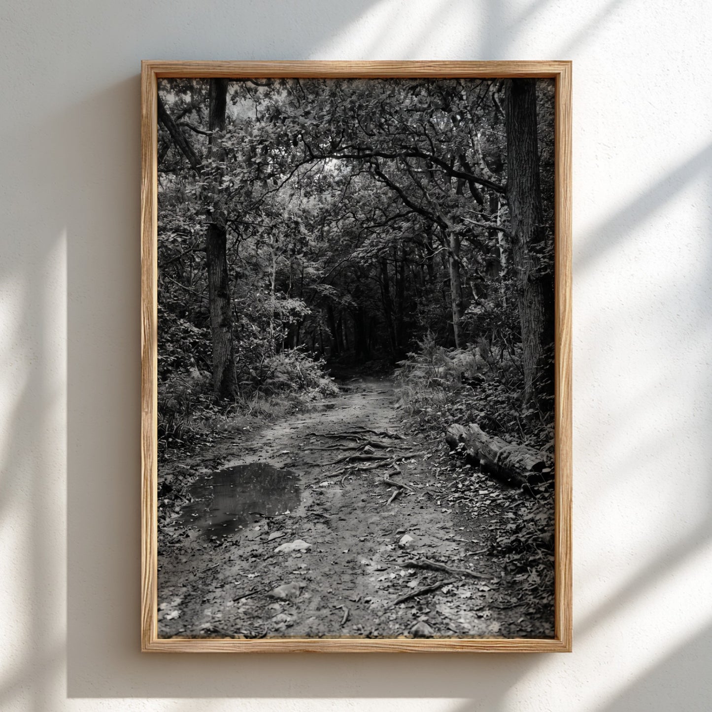Black and white wall decor of dirt path through dense woodland with trees and roots