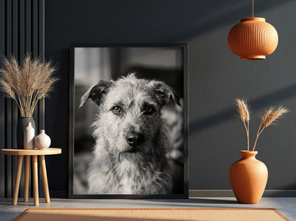 Black and white dog portrait wall decor with scruffy dog by window in natural light