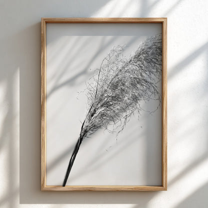 Wall decor featuring dried pampas grass with fine textures and muted soft grey background