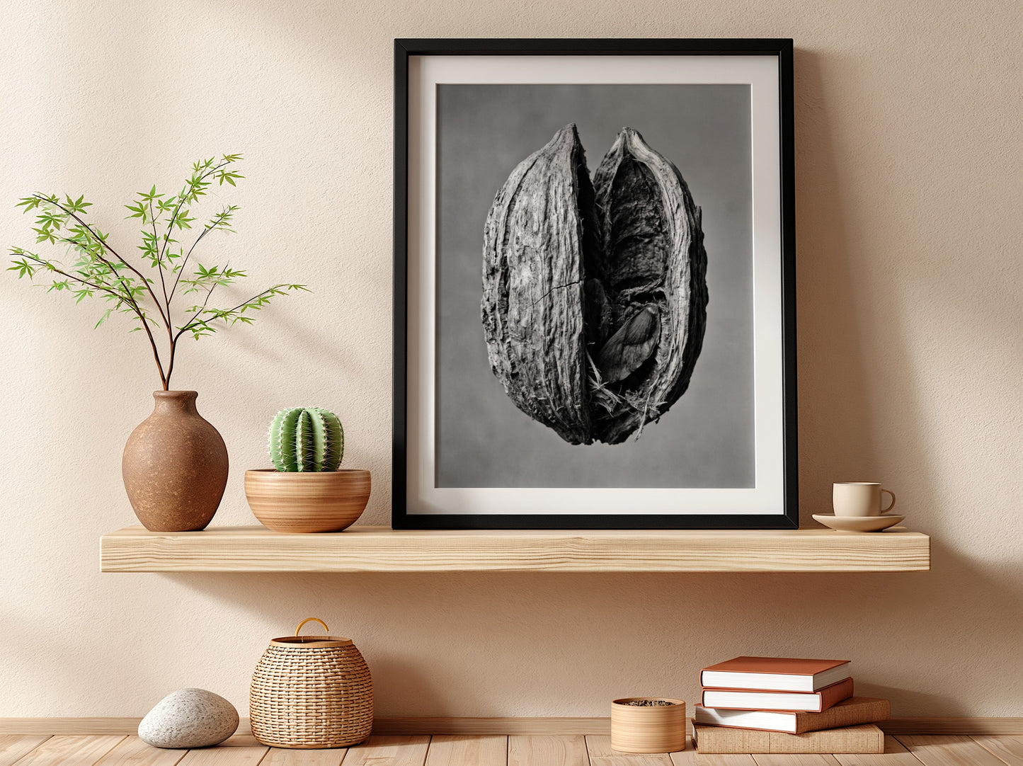 Botanical photography print of dried seed pod split open monochrome black and white detailed