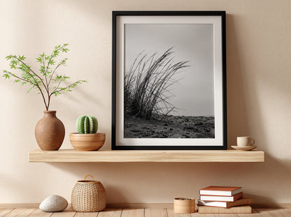 Black and white poster showing dune grass bending in wind on sandy ground with soft shadows