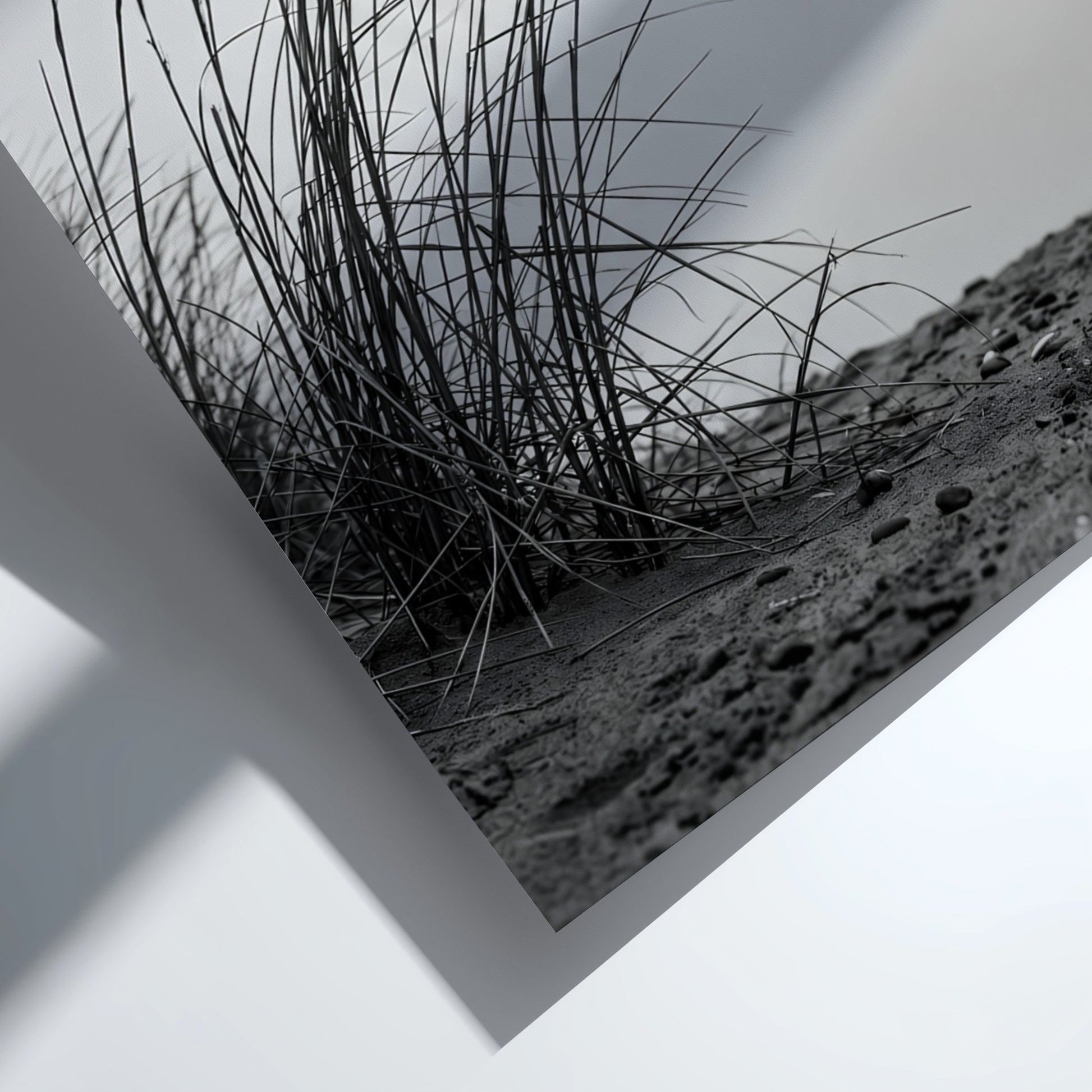 Black and white poster showing dune grass bending in wind on sandy ground with soft shadows