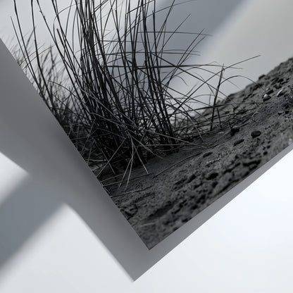 Black and white poster showing dune grass bending in wind on sandy ground with soft shadows