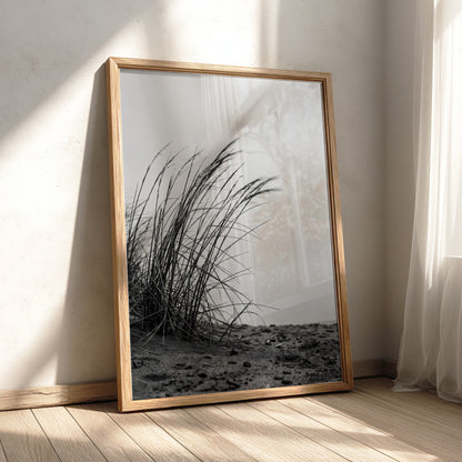 Black and white poster showing dune grass bending in wind on sandy ground with soft shadows