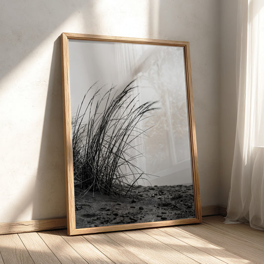 Black and white poster showing dune grass bending in wind on sandy ground with soft shadows