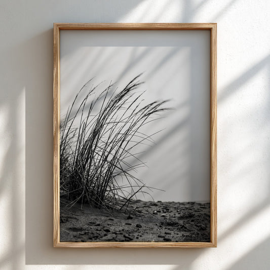 Black and white poster showing dune grass bending in wind on sandy ground with soft shadows