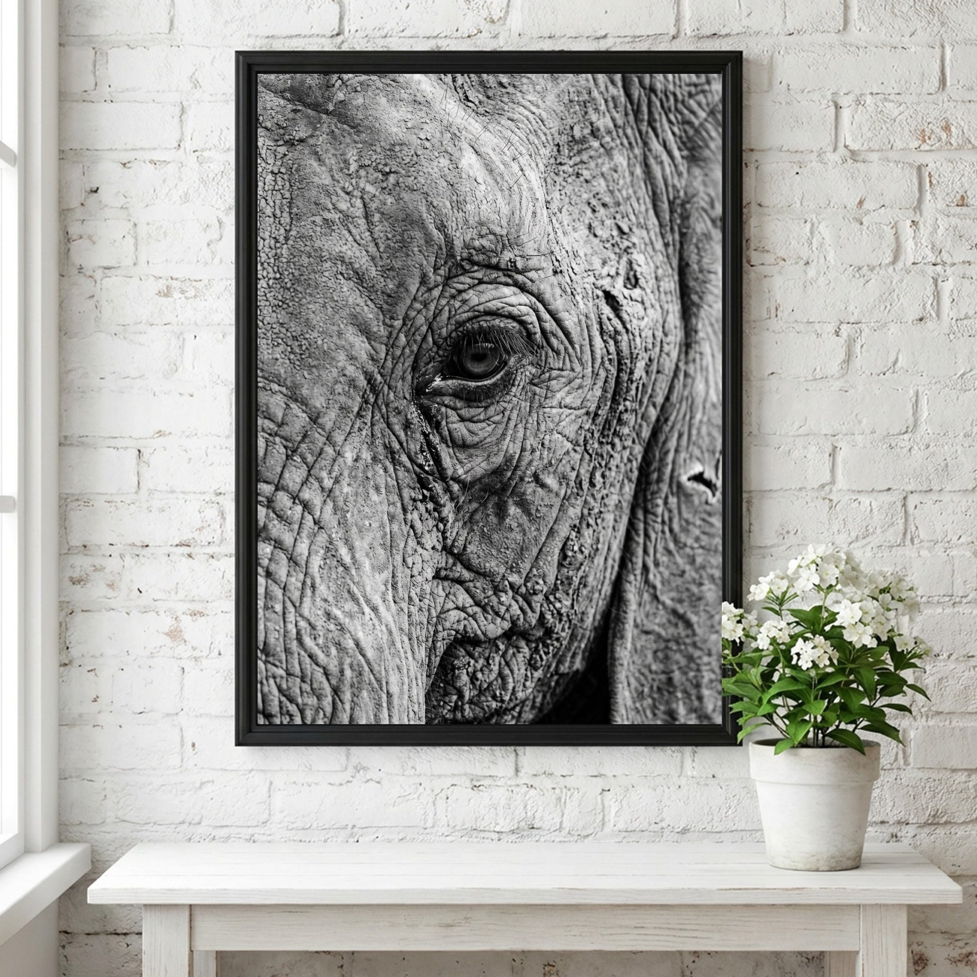 wildlife wall decor black and white close-up photograph of elephant eye with detailed textured skin