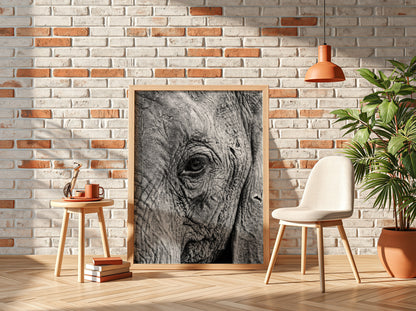 wildlife wall decor black and white close-up photograph of elephant eye with detailed textured skin