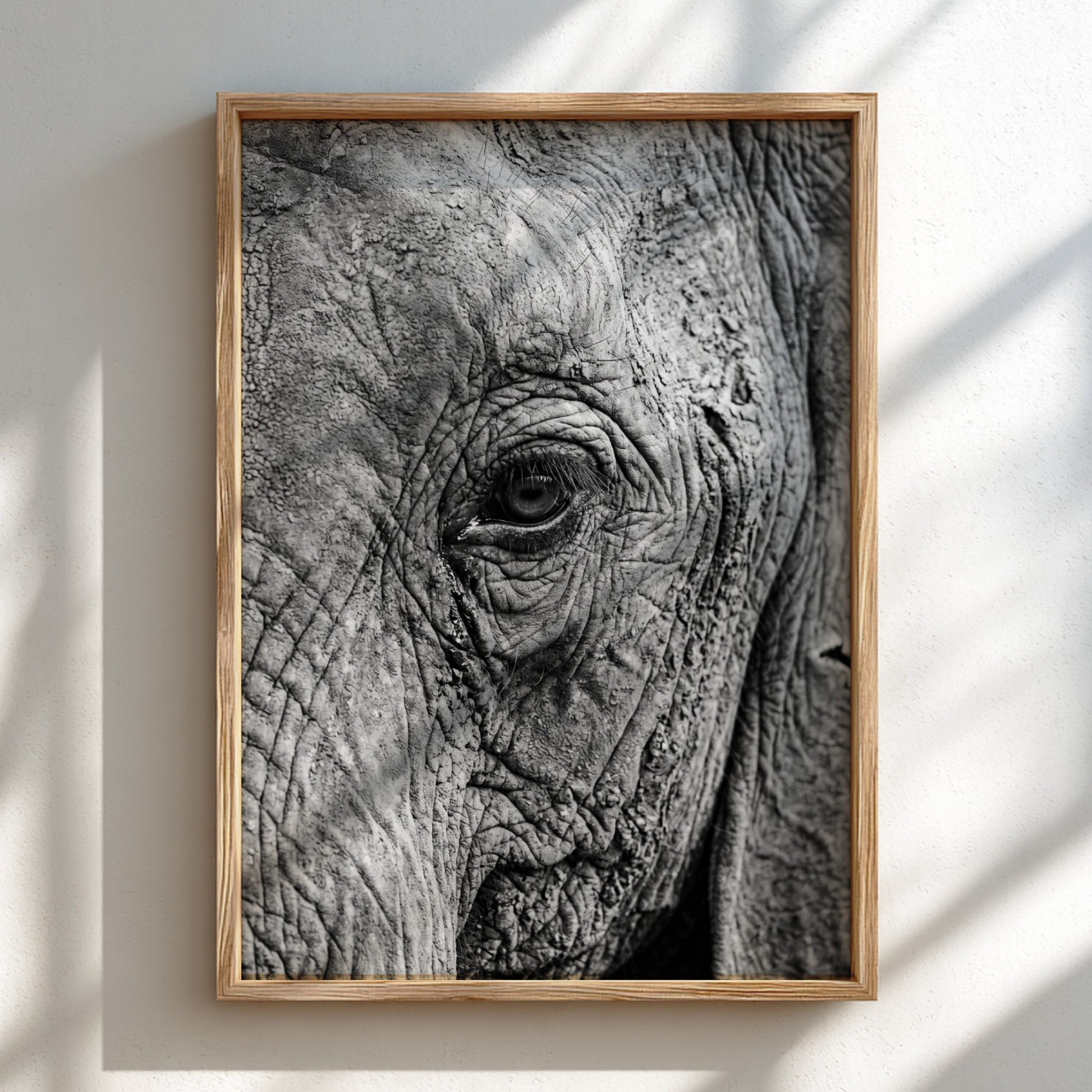 wildlife wall decor black and white close-up photograph of elephant eye with detailed textured skin