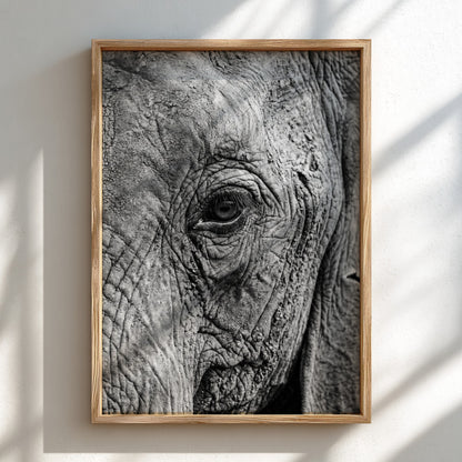 wildlife wall decor black and white close-up photograph of elephant eye with detailed textured skin