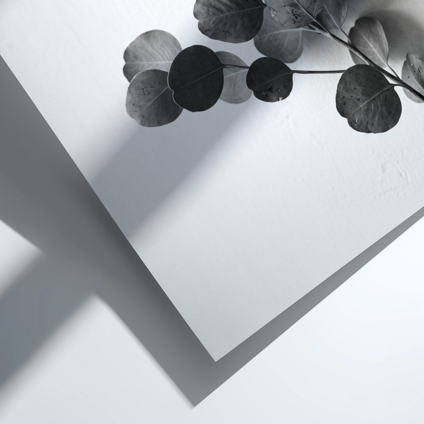 botanical wall decor featuring grayscale eucalyptus branch with rounded leaves on white background