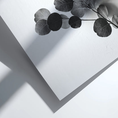 botanical wall decor featuring grayscale eucalyptus branch with rounded leaves on white background