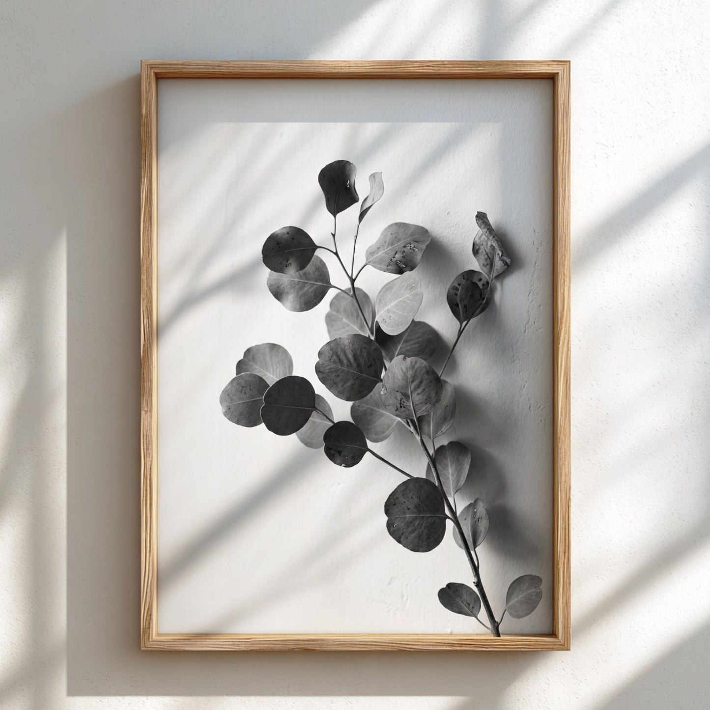 botanical wall decor featuring grayscale eucalyptus branch with rounded leaves on white background