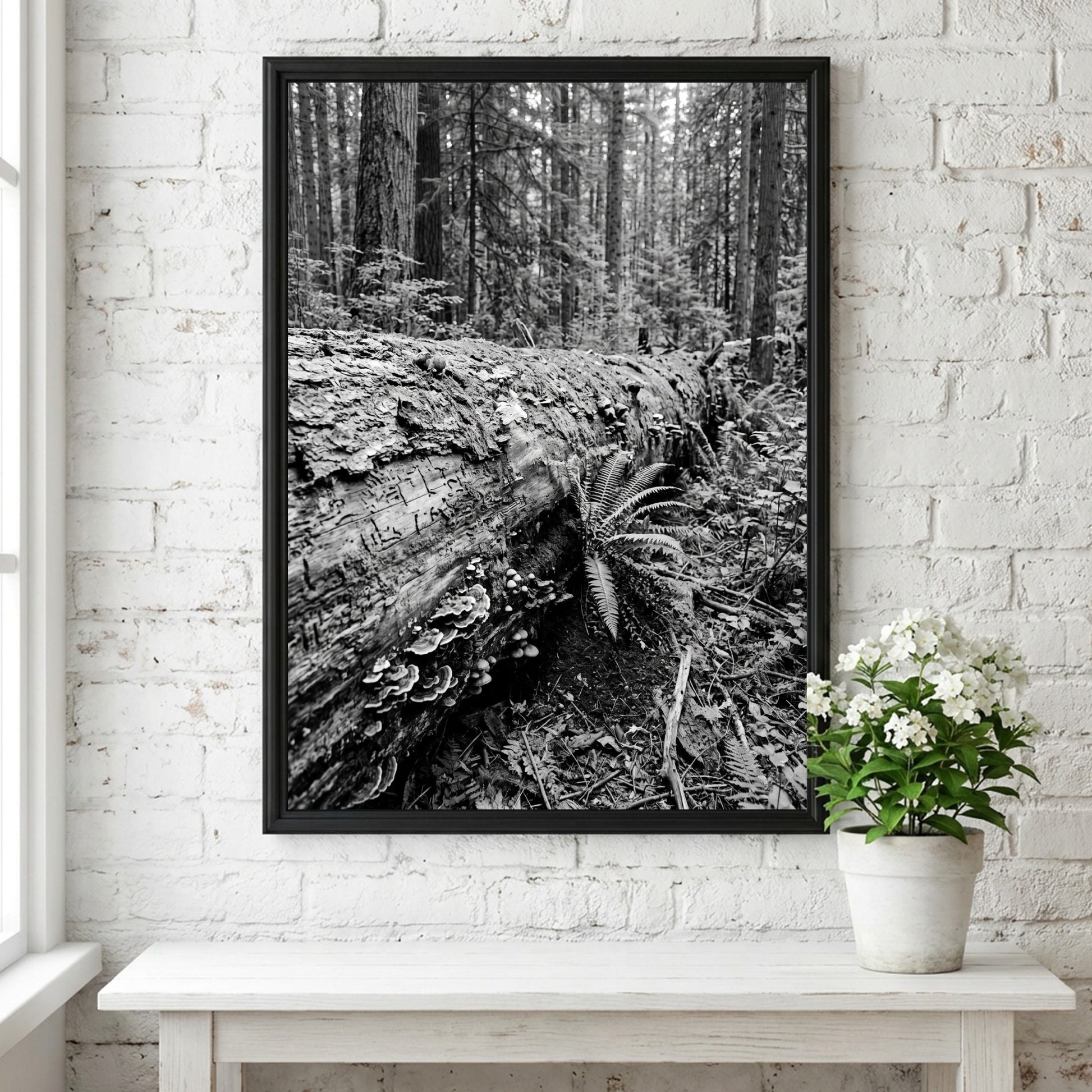 Black and white poster showing fallen tree trunk in dense forest with ferns and detailed textures