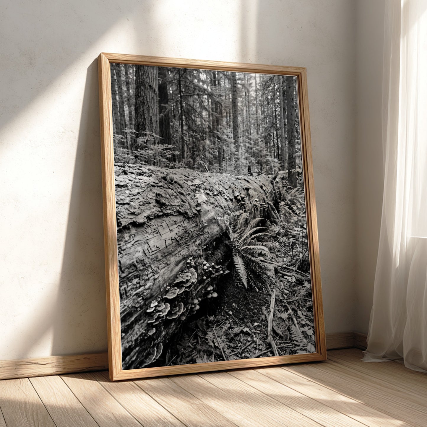 Black and white poster showing fallen tree trunk in dense forest with ferns and detailed textures