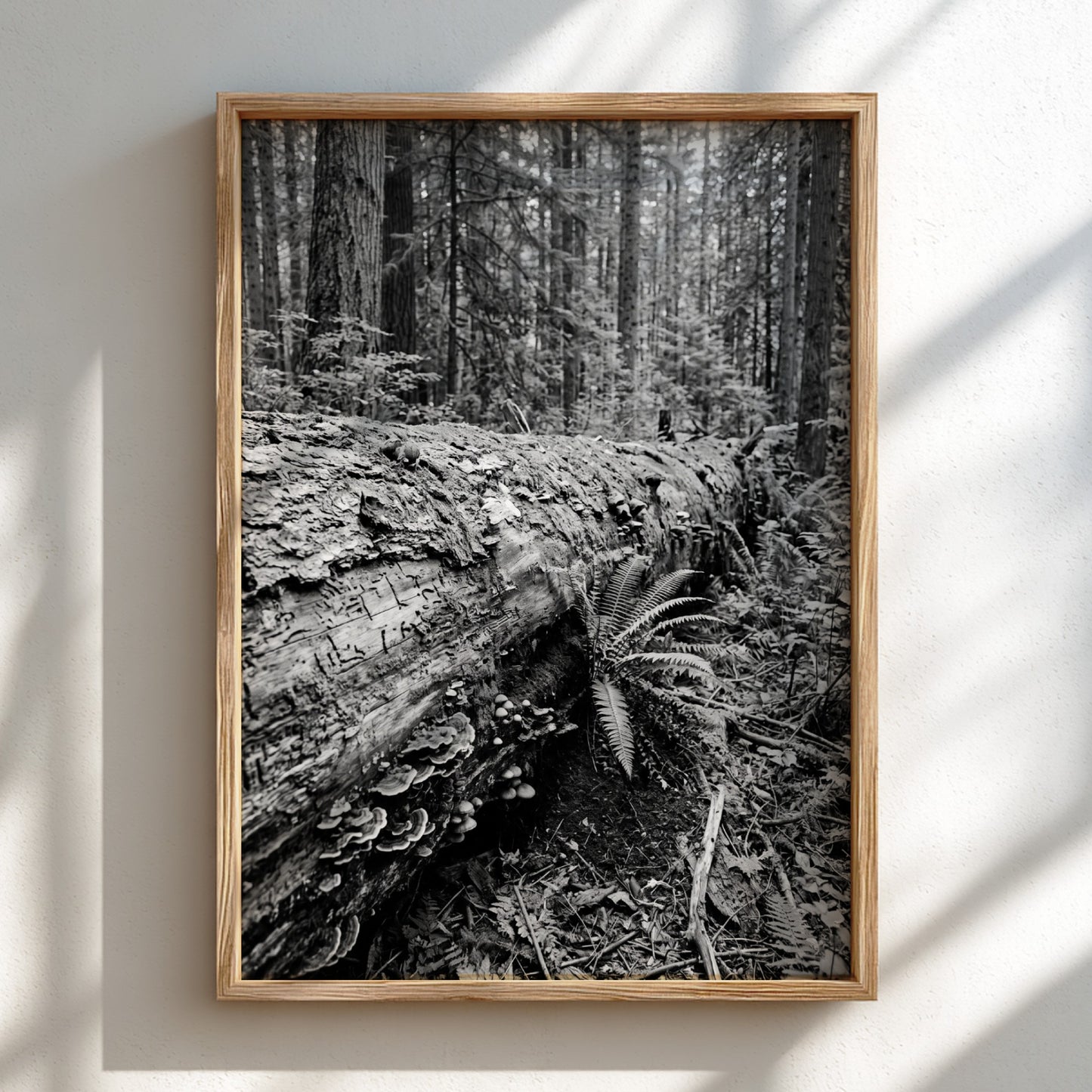 Black and white poster showing fallen tree trunk in dense forest with ferns and detailed textures